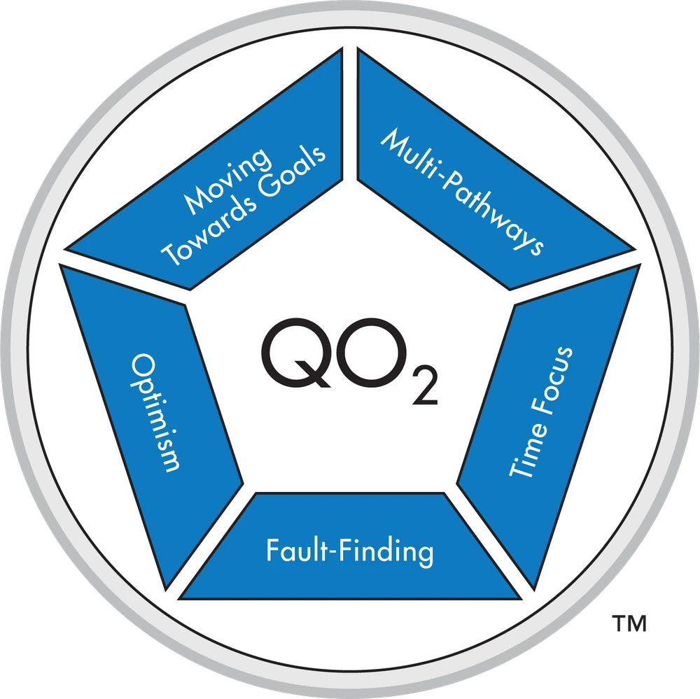 TMS Global QO2 Risk-Orientation Model showing the five subscales (MTG Energy, Multi-Pathways, Optimism, Fault-Finding, Time Focus)