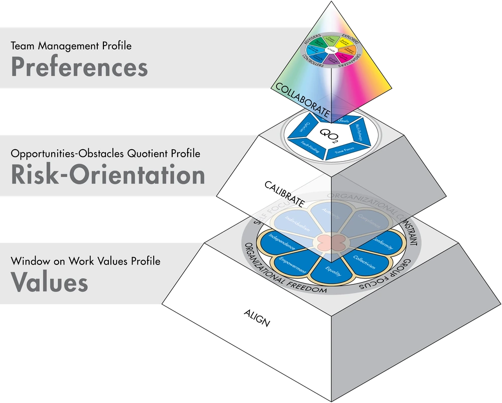 TMS Global Workplace Behaviour Pyramid — integrated model showing Values, Risk-Orientation and Preferences as layered drivers of workplace behaviour